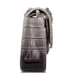 Chanel Ombre Grey Matte Alligator Medium Classic Double Flap Bag Silver Hardware - Image 6