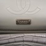 Chanel Ombre Grey Matte Alligator Medium Classic Double Flap Bag Silver Hardware - Image 8