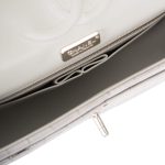 Chanel Ombre Grey Matte Alligator Medium Classic Double Flap Bag Silver Hardware - Image 9