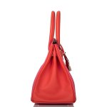 Hermes Birkin 30cm Bi-Color Rose Azalee and Feu Epsom Permabrass Hardware - Image 3