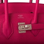 Hermes Birkin 25 Rose Mexico Togo Palladium Hardware - Image 9