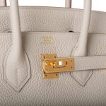 Hermes Birkin 25 Gris Perle Togo Gold Hardware - Image 9