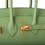 Hermes Birkin Sellier 25 Vert Criquet Epsom Gold Hardware - Image 5