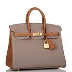 Hermes Birkin 25 Gris Asphalte and Gold Togo Brushed Gold Hardware - Image 2