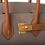 Hermes Birkin 25 Gris Asphalte and Gold Togo Brushed Gold Hardware - Image 6