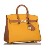 Hermes Birkin 25 Jaune Ambre and Gold Togo Permabrass Hardware - Image 3