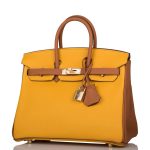 Hermes Birkin 25 Jaune Ambre and Gold Togo Permabrass Hardware - Image 4