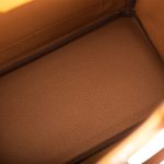 Hermes Birkin 25 Jaune Ambre and Gold Togo Permabrass Hardware - Image 8