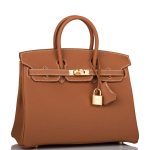 Hermes Birkin 25 Gold Togo Gold Hardware - Image 4