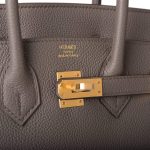 Hermes Birkin 25 Etain Togo Gold Hardware - Image 6