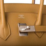 Hermes Birkin 35 Bronze D'Or Togo Palladium Hardware - Image 4