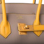 Hermes Birkin 35 Etoupe and Jaune Ambre Togo Brushed Gold Hardware - Image 6