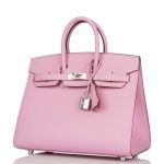 Hermes Birkin 25 Mauve Sylvestre Sellier Veau Madame Palladium Hardware - Image 4