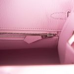 Hermes Birkin 25 Mauve Sylvestre Sellier Veau Madame Palladium Hardware - Image 8