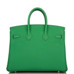 Hermes Birkin 25cm Bambou Togo Gold Hardware - Image 3