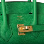Hermes Birkin 25cm Bambou Togo Gold Hardware - Image 5
