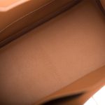 Hermes Birkin 30 Gold Togo Gold Hardware - Image 4