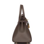 Hermes Birkin Sellier 25 Etain Epsom Gold Hardware - Image 5