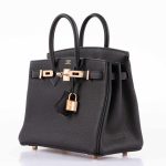 Hermes Birkin 25 Black Togo leather Rose Gold Hardware - 2021, Z - Image 4