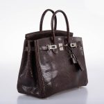 Hermes Birkin 25 Havane Nilo Lizard with Palladium Hardware - 2007, K Square - Image 3