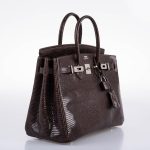 Hermes Birkin 25 Havane Nilo Lizard with Palladium Hardware - 2007, K Square - Image 5