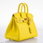 Hermes Birkin 25 Lime Swift Leather Gold Hardware - 2019, D - Image 6