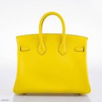Hermes Birkin 25 Lime Swift Leather Gold Hardware - 2019, D - Image 3