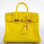 Hermes Birkin 25 Lime Swift Leather Gold Hardware - 2019, D - Image 11