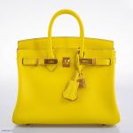 Hermes Birkin 25 Lime Swift Leather Gold Hardware - 2019, D - Image 8