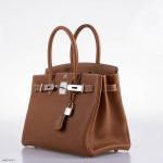 Hermes Birkin 30 Gold Togo with Palladium Hardware - 2020, Y - Image 7