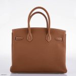 Hermes Birkin 30 Gold Togo with Palladium Hardware - 2020, Y - Image 9