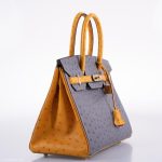 Hermes Birkin 30 HSS Gris Agate & Saffron Ostrich Gold Hardware - 2020, Y - Image 3