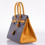 Hermes Birkin 30 HSS Gris Agate & Saffron Ostrich Gold Hardware - 2020, Y - Image 4