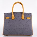 Hermes Birkin 30 HSS Gris Agate & Saffron Ostrich Gold Hardware - 2020, Y - Image 5