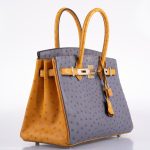 Hermes Birkin 30 HSS Gris Agate & Saffron Ostrich Gold Hardware - 2020, Y - Image 8