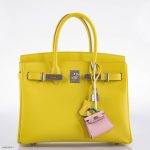 Hermes Birkin 30 Lime Epsom with Palladium Hardware - 2019, D - Image 8