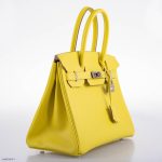 Hermes Birkin 30 Lime Epsom with Palladium Hardware - 2019, D - Image 3
