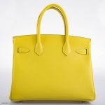 Hermes Birkin 30 Lime Epsom with Palladium Hardware - 2019, D - Image 10