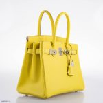 Hermes Birkin 30 Lime Epsom with Palladium Hardware - 2019, D - Image 6