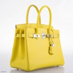 Hermes Birkin 30 Lime Epsom with Palladium Hardware - 2019, D - Image 7
