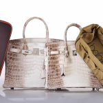 Hermes Birkin 30 Matte Himalayan Niloticus Crocodile with Diamonds & White Gold Hardware - Image 9