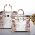 Hermes Birkin 30 Matte Himalayan Niloticus Crocodile with Diamonds & White Gold Hardware - Image 10