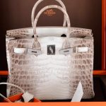 Hermes Birkin 30 Matte Himalayan Niloticus Crocodile with Diamonds & White Gold Hardware - Image 11