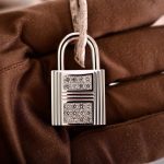 Hermes Birkin 30 Matte Himalayan Niloticus Crocodile with Diamonds & White Gold Hardware - Image 12