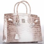 Hermes Birkin 30 Matte Himalayan Niloticus Crocodile with Diamonds & White Gold Hardware - Image 23