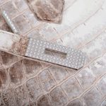 Hermes Birkin 30 Matte Himalayan Niloticus Crocodile with Diamonds & White Gold Hardware - Image 16
