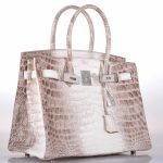 Hermes Birkin 30 Matte Himalayan Niloticus Crocodile with Diamonds & White Gold Hardware - Image 3