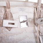 Hermes Birkin 30 Matte Himalayan Niloticus Crocodile with Diamonds & White Gold Hardware - Image 5
