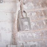 Hermes Birkin 30 Matte Himalayan Niloticus Crocodile with Diamonds & White Gold Hardware - Image 6