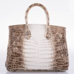 Hermes Birkin 30 Matte Himalayan Niloticus Crocodile Palladium Hardware - 2010, N Square - Image 10